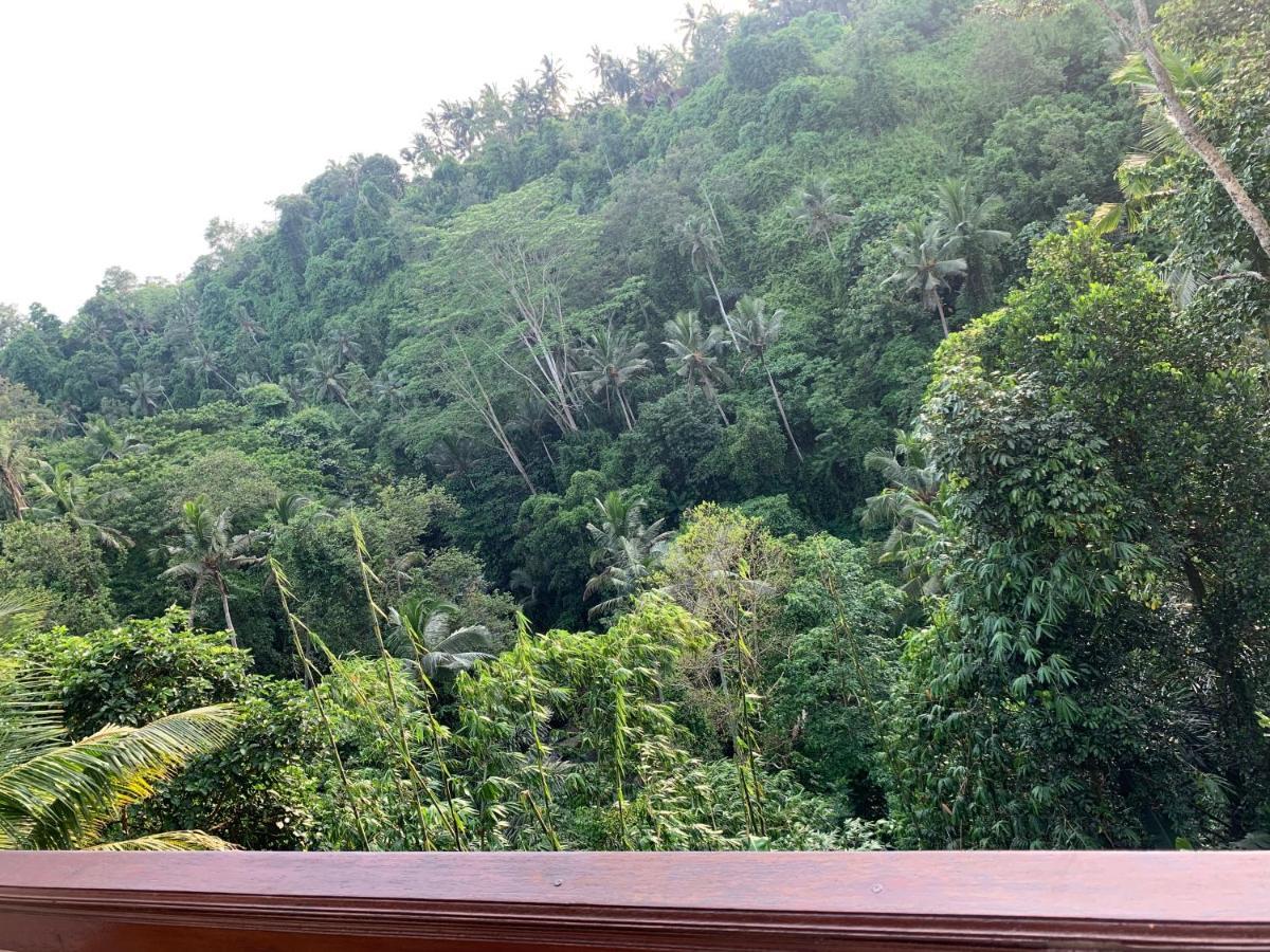D'Tepi Ubud House Luaran gambar